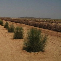 مساحت کاداستر استان کرمانشاه **1547412 **هکتار