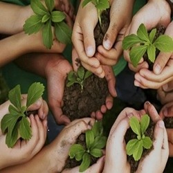 همیار طبیعت استان کرمانشاه **75000**نفر