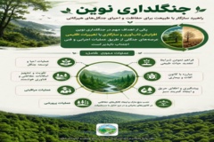  جنگلداری نوین: راهبرد سازگار با طبیعت برای حفاظت و احیای جنگل‌های هیرکانی