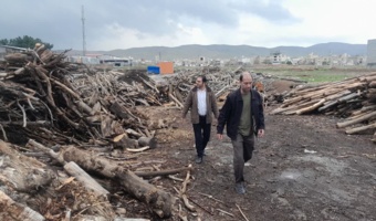 آغاز طرح ویژه گشت و مقابله با قاچاق چوب و ذغال در شهرستان کرمانشاه