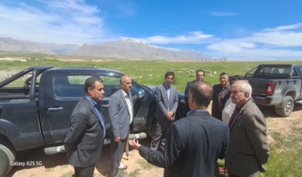 تصفیه خانه کرمانشاه، سبز شد/  گیاه پالایی با صنوبر: بازیابی محیط همراه با تولید چوب