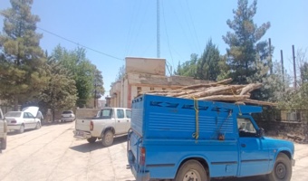 بازرسی کارشناسان منابع طبیعی از محموله‌ چوب آلات باغی (غیرجنگلی) در جوانرود