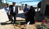 کاشت نهال به یاد خلبان شهید علی اکبر شیرودی 