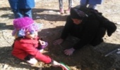 کاشت نهال انقلاب در روستای وینه عثمانوند کرمانشاه