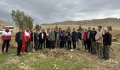 کاشت 300اصله درخت در شهرستان گیلانغرب