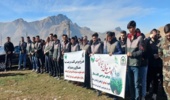 جهاد تلاشگران منابع طبیعی و بسیج سازندگی برای سرسبزی استان کرمانشاه