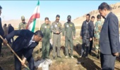 سربازان مقتدر گردان چهارم آموزشی جیرانبلاغ چندین اصله نهال کاشتند