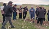  100هکتار از اراضی ملی روستاهای قصرشیرین نهالکاری می شود 