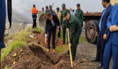 کاشت نهال به مناسبت آغاز هفته منابع طبیعی در شهرستان پاوه