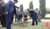 کاشت سه نهال توسط استاندار کرمانشاه در روز درختکاری