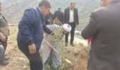  برگزاری مراسم روز درختکاری در شهرستان دالاهو