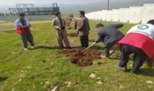 کاشت نهال به مناسبت آغاز هفته منابع طبیعی و روز درختکاری در محوطه بیمارستان شهرستان روانسر  
