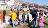 درختکاری در محوطه پارک شهید قاسم سلیمانی شهرستان ثلاث باباجانی توسط دوست داران محیط زیست و منابع طبیعی کتابخانه من