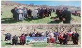  کاشت نهال به مناسبت گرامیداشت مقام شهید در شهرستان جوانرود 
