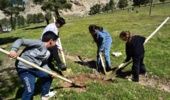  کاشت بیش از ۴۰۰۰ هزار اصله نهال در روز طبیعت