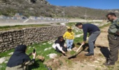 کاشت نهال به مناسبت روز طبیعت در شهرستان روانسر