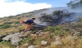 مهار آتش سوزی در ارتفاعات شهرستان گیلانغرب و کوه بیمار با همت همیاران طبیعت