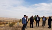 بازدید میدانی رییس گروه نظارت و ارزیابی سازمان منابع طبیعی کشور از طرح جنگلکاری چشمه سفید  