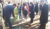 برگزاری پویش درختکاری در شهرستان کنگاور