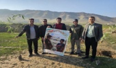 100 نهال به یاد پدران ایران در سرپل‌ذهاب کاشته شد