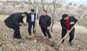 کاشت نهال بادام و بلوط در گردنه حسن آباد 