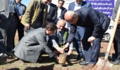 کاشت نهال توسط استاندار کرمانشاه در قالب قرارگاه جهادی و پویش درختکاری سرو ایران