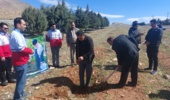 پویش  نهالکاری “ سرو ایران” به یاد رهبر شهید انقلاب و شهدای جنگ رمضان از جمله شهدای سازمان منابع طبیعی