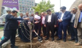 غرس ۳۰ اصله نهال در جوار امامزاده باقر(ع) بیستون به مناسبت ولادت قائد امت اسلامی شهید خامنه‌ای و روز ارتش