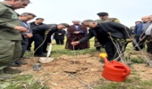 «سرو ایران» به یاد قهرمانان، کاشت ۳۰۰ نهال در اسلام‌آباد غرب