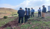 بازدید کارشناسان کمیته علمی از جنگلکاری مشارکتی شهرستان هرسین