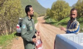 دستگیری متخلف جمع‌آوری گیاه ثعلب در روستای گوراجوب قشلاق بخش گهواره