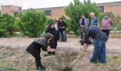 آیین درختکاری در معبد آناهیتای کنگاور؛ پیوند سلامت، میراث فرهنگی و یاد شهدای ایران