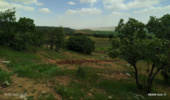 عملیات ایجاد آتش‌بر در روستای ده‌کریشه اسلام آباد غرب