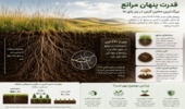 اینفوگرافیک مراتع