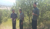 توقیف بیل مکانیکی متخلف در لحظه شروع تخریب اراضی ملی در شهرستان دالاهو