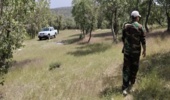 جنگلگردشی و پایش مناطق بحرانی در شهرستان اسلام آبادغرب