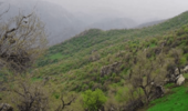 نعمتی که می‌تواند دردسرساز شود
