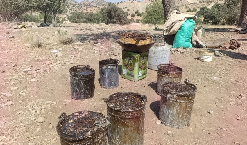 بازدید کارشناسان پاسگاه ویژه گیلانغرب از سامان عرفی «پشته میوانه و چله ای