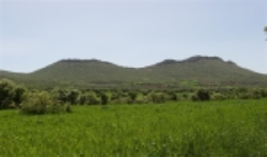 مجری نمونه کشوری در اجرای طرح ملی صیانت از جنگل های زاگرس استان کرمانشاه معرفی شد