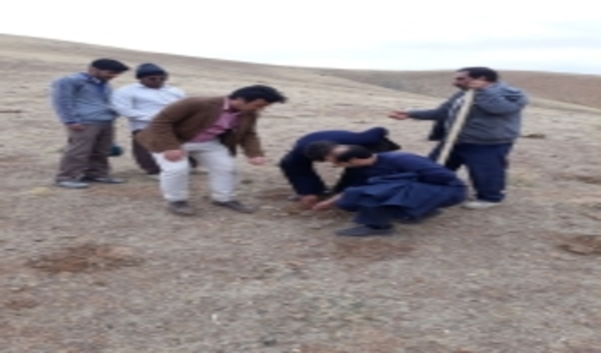 هفت پروژه بیولوژیک در حوزه جنگل از محل صندوق توسعه ملی در حال اجرا است 0