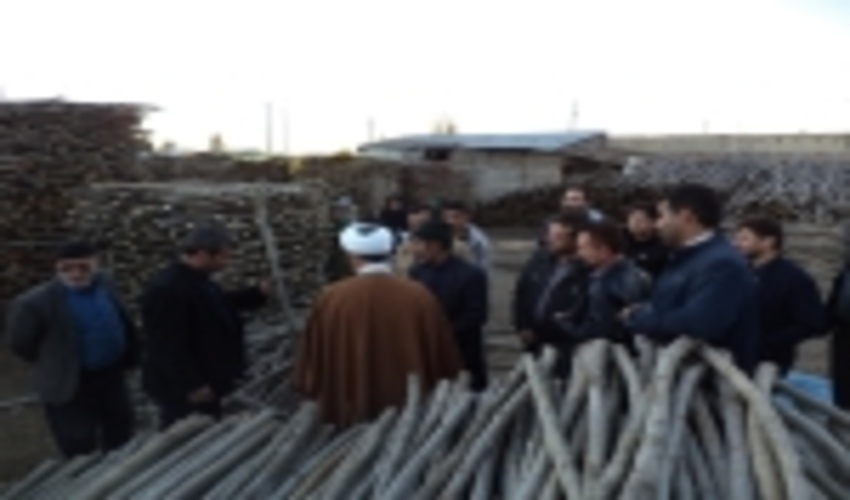 بازدید جوامع محلی حوضه آهوران از الگوی موفق زراعت چوب و بهره‌برداری کوتاه مدت درختان غیر مثمر روستای گره چقا  در استان همدان 
