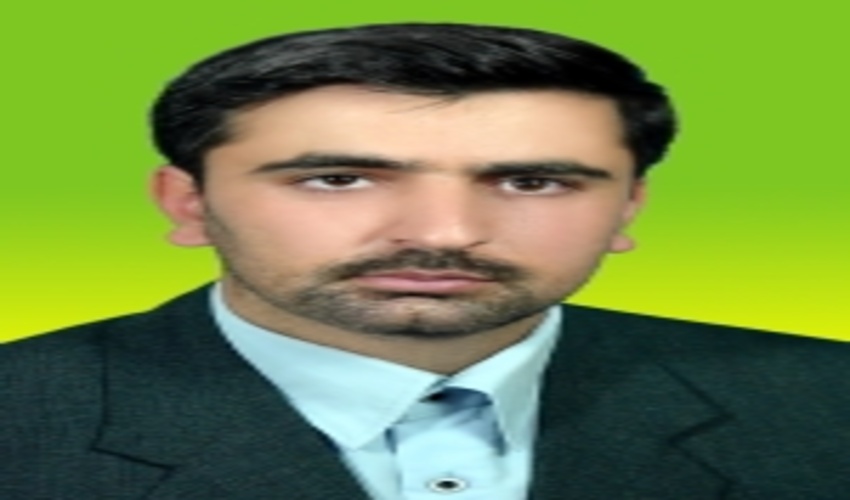                                                                        درختان بنه شهرستان جوانرود هم مجوز بهره برداری گرفتند 