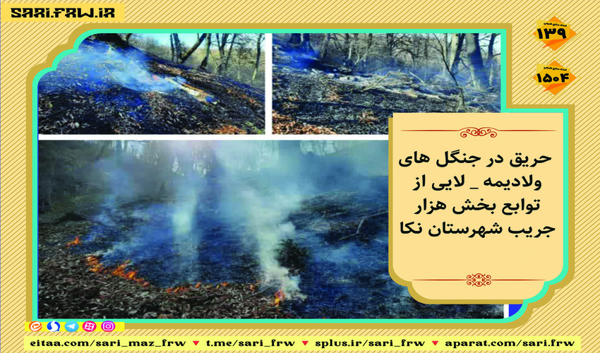 مهندس کولانی مدیر کل منابع طبیعی وآبخیزداری استان کرمانشاه در خصوص عملکرد چهل ساله حوزه خود اظهار داشت