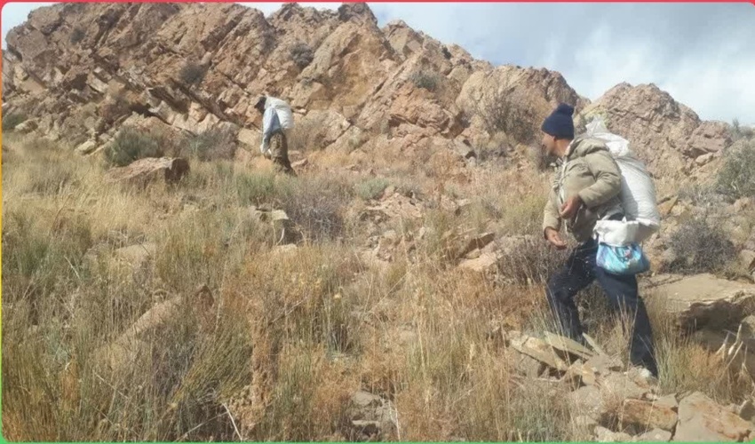 برگزاری جشن عید سعید غدیر خم 