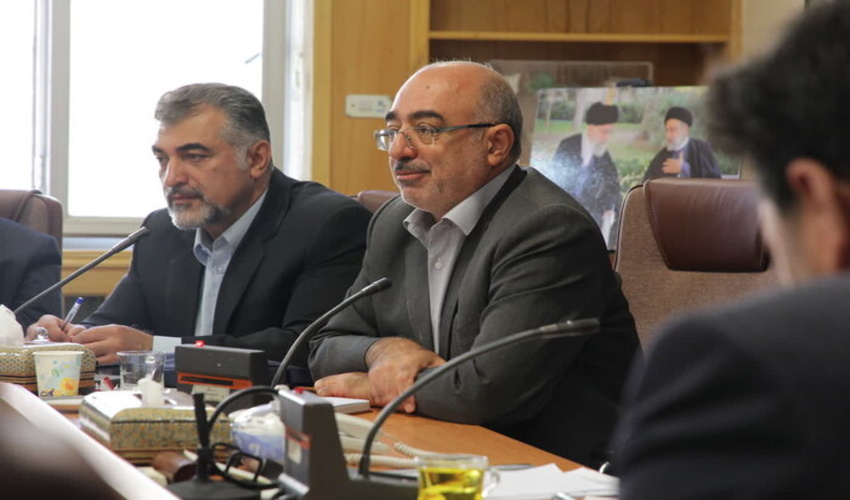 سنجاب های اسیر این توسعه دهندگان جنگل های بلوط به خانه بازگشتند.