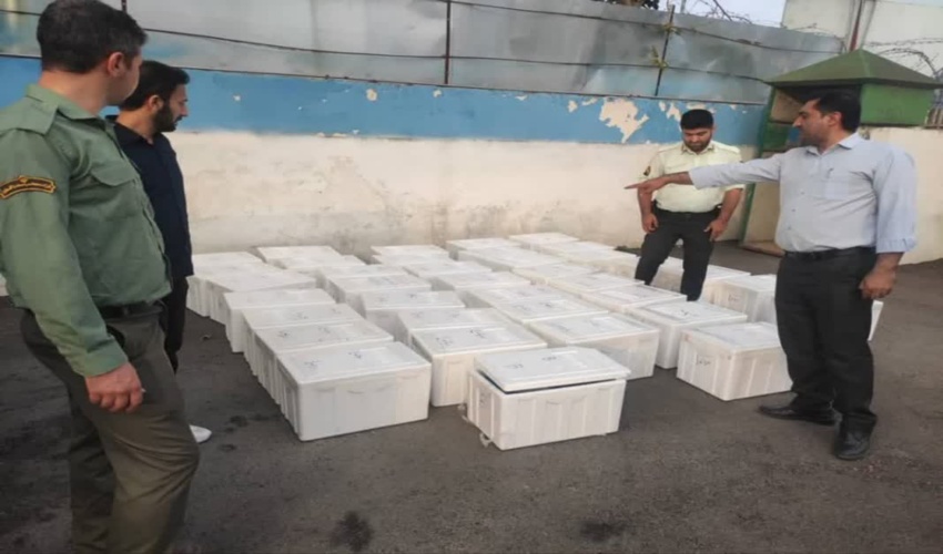 رئيس اداره منابع طبیعی دالاهو: قرقبانان، نگهبانان گنج پنهان