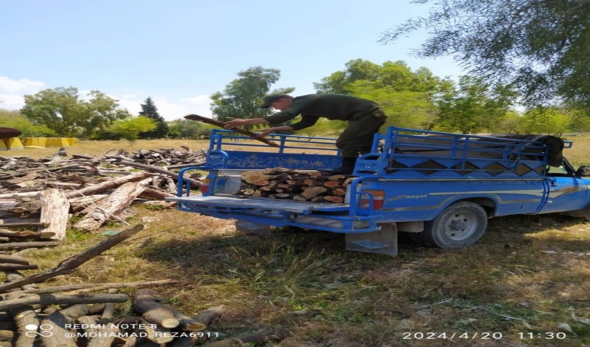 گزارش تصویری مراسم نهالکاری 17 آذر در شهرستان های استان کرمانشاه