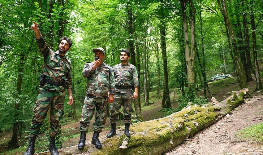 جلسه هماهنگی رویداد بزرگ نهالکاری همگانی برای ایرانی سر سبز