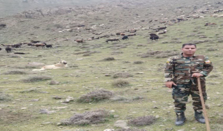 طرح 9 در 99 رسیدن به اهدافی است که تحقق بخش پیام مقام معظم رهبری مبنی بر نامگذاری سال بنام جهش تولید است .