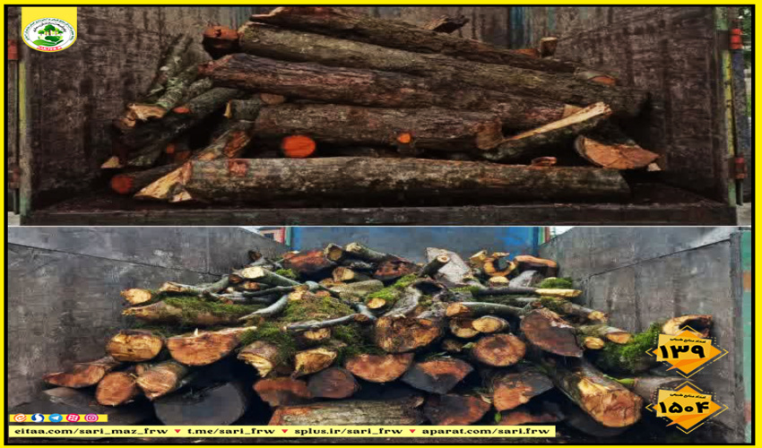 برگزاری مراسم بمناسبت شبهای قدر